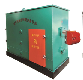 普通式内置换热锅炉